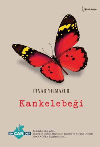 Kankelebeği - 1