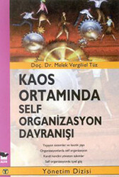 Kaos Ortamında Self Organizasyon Davranışı - 1