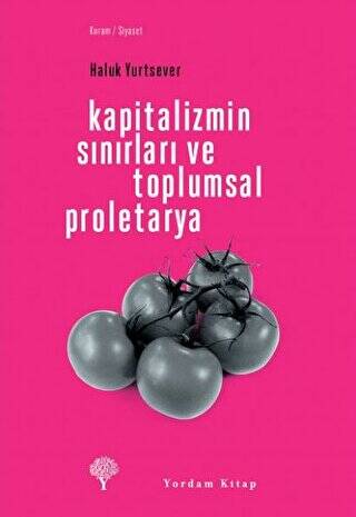 Kapitalizmin Sınırları ve Toplumsal Proletarya - 1