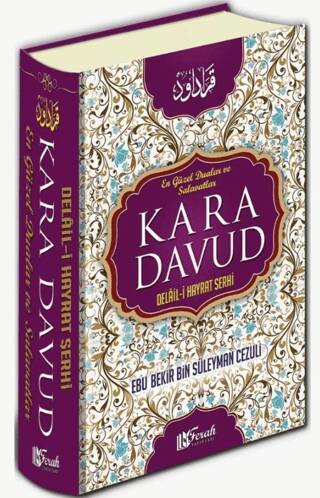 Kara Davud Delail-i Hayrat Şerhi - 1