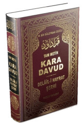 Kara Davud - Delail-i Hayrat Şerhi Şamua - Huzur Yayınevi