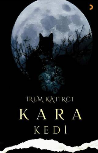 Kara Kedi - 1