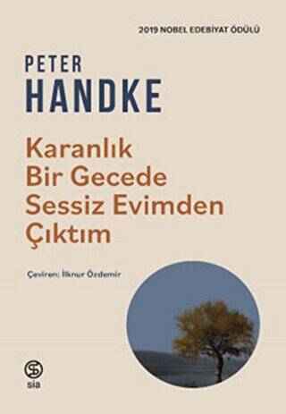 Karanlık Bir Gecede Sessiz Evimden Çıktım - 1