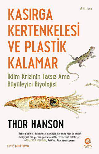 Kasırga Kertenkelesi ve Plastik Kalamar - 1