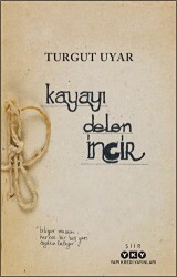 Kayayı Delen İncir - 1