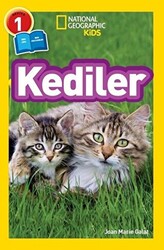 Kediler - 1