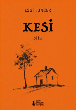 Kesi - 1