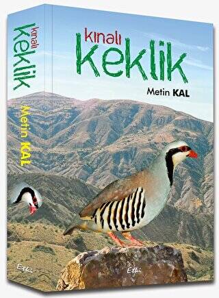 Kınalı Keklik - 1