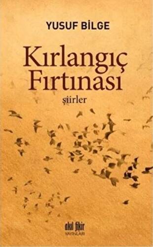 Kırlangıç Fırtınası - 1