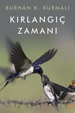 Kırlangıç Zamanı - 1