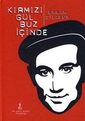 Kırmızı Gül Buz İçinde DVD Ekli - 1