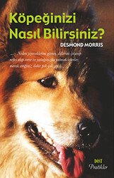 Köpeğinizi Nasıl Bilirsiniz? - 1