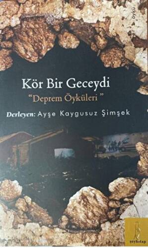 Kör Bir Geceydi Deprem Öyküleri - 1
