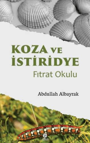 Koza ve İstiridye Fıtrat Okulu - 1