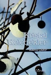 Kristal Kelebekler - 1