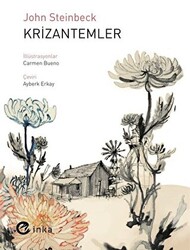 Krizantemler - 1