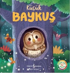 Küçük Baykuş - 1