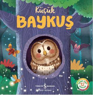 Küçük Baykuş - 1