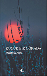 Küçük Bir Gökada - 1