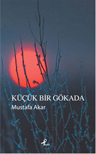 Küçük Bir Gökada - 1