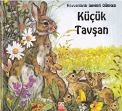 Küçük Tavşan - 1