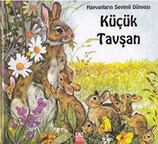 Küçük Tavşan - 1