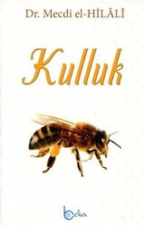 Kulluk - 1