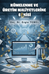 Kümelenme ve Üretim Maliyetlerine Etkisi - Serüven Yayınevi