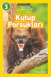 Kutup Porsukları - National Geographic Kids - 1