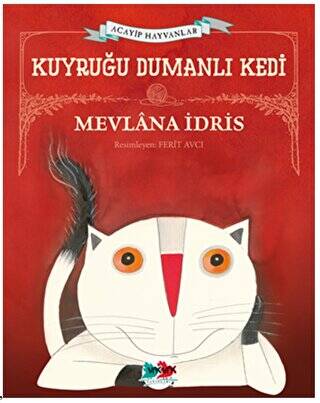 Kuyruğu Dumanlı Kedi - 1