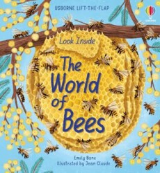 Look Inside the World of Bees - 1