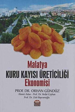 Malatya Kuru Kayısı Üreticiliği Ekonomisi - 1