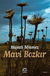 Mavi Bozkır - 1