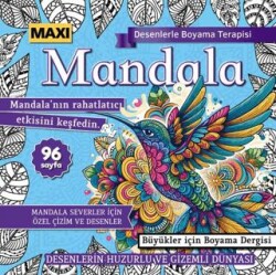Maxi Mandala Desenlerle Boyama Terapisi 14 - Maxi Yayıncılık