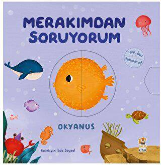 Merakımdan Soruyorum - Okyanus - 1