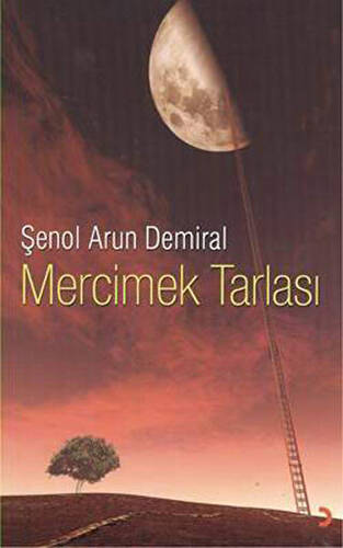 Mercimek Tarlası - 1