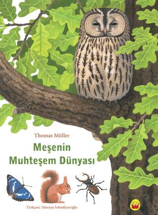 Meşenin Muhteşem Dünyası - 1
