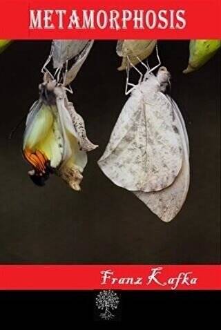 Metamorphosis - 1