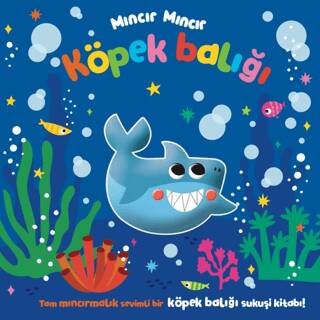 Mıncır Mıncır Köpek Balığı - 1