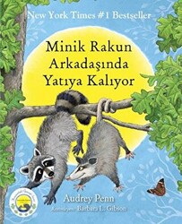 Minik Rakun Arkadaşında Yatıya Kalıyor - 1