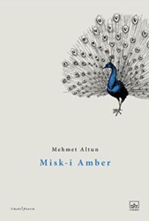 Misk-i Amber - 1