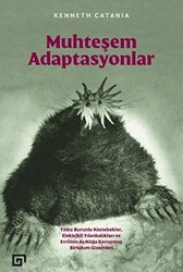 Muhteşem Adaptasyonlar - 1