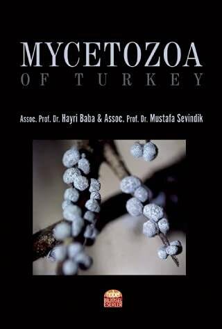 Mycetozoa of Turkey - 1
