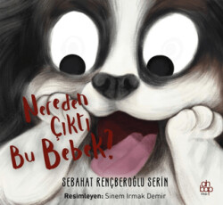 Nereden Çıktı Bu Bebek? - 1
