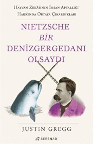 Nietzsche Bir Denizgergedanı Olsaydı - 1