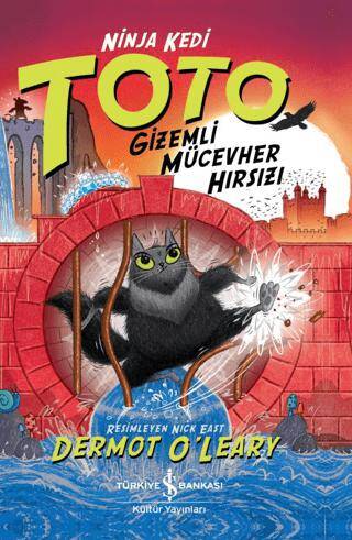 Ninja Kedi Toto - Gizemli Mücevher Hırsızı - 1