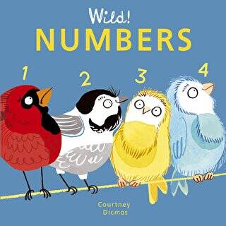 Numbers - 1