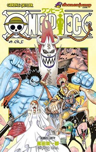 One Piece 49. Cilt - 1