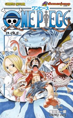 One Piece Cilt: 29 - 1