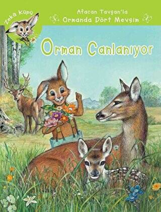 Orman Canlanıyor - 1